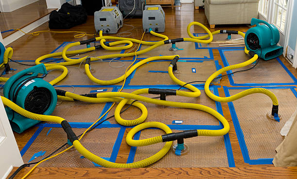 Professional Structural Drying And Dehumidification technician working in Lowell, NC